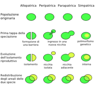 specviazione 1
